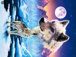 Wolf to the Moon