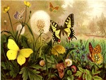 butterfly garden
