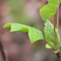 Spring is on It's Way