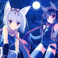 Night Nekos