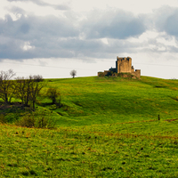 Castle in a Field