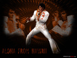 Elvis Aloha