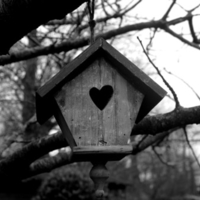 Bird house