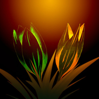 Glowing Tulips