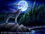 Howling Wolf
