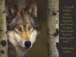 Wisdom of the Wolf