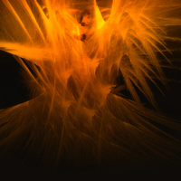 woman in the tree of illussion