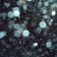 Night Rain Motion Fall