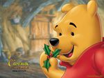 pooh bear