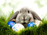 HAPPY EASTER, DN!