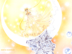 Princess Serenity