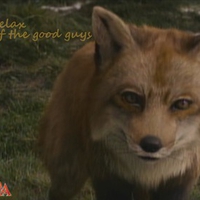 Fox, The Chronicles of Narnia