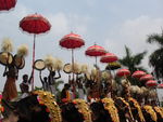 trissur pooram