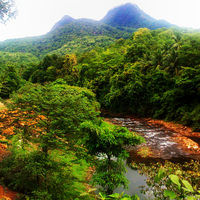 Jungle Mountain river