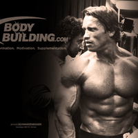 Arnold iron pumper