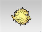 ballon fish