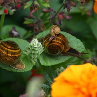 Family time in the Flowers