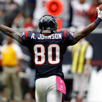 Andre Johnson Vs New York