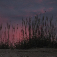 Sunset with Beach Grass