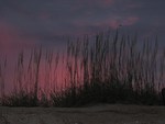Sunset with Beach Grass