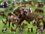 Horse Collage