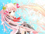Sakura Miku
