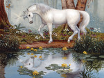 Unicorn Reflection F+Cmp