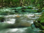 green river
