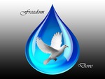 Freedom Dove