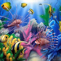 David Miller, Lion of the sea