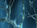 Neuron in Dual Screen