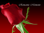 Romantic Moments