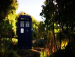 The Tardis