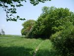 Sussex Path