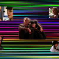 NCIS colors