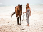 Beauty and Horse