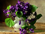 Delightful Violets
