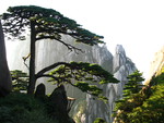 Huang shan-chaina