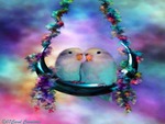 Love birds