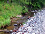 Creek By The Road