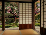 Japanese room garden