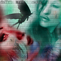 twisted butterfly upon the wall