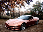 Wittera Chevrolet Corvette C5 Wide Body