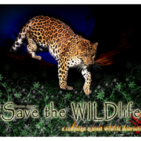 SAVE THE JAGUARS