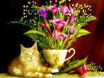 Cat flowers