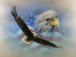 the flag & eagle