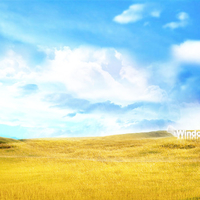 Windows 7 wallpaper new!