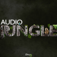 Audio Jungle