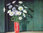 Coke Can  Daisys