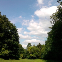 Venturing into the Woods